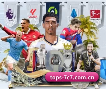 tops-7c7.com.cn APP